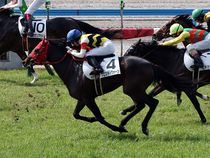 ����å��ǳ��������ɽ�����ޤ�