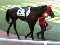 ����å��ǳ��������ɽ�����ޤ�