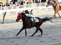 ����å��ǳ��������ɽ�����ޤ�