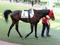 ����å��ǳ��������ɽ�����ޤ�