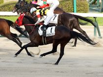 ����å��ǳ��������ɽ�����ޤ�