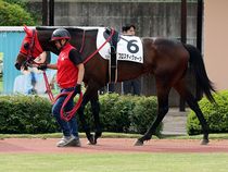 ����å��ǳ��������ɽ�����ޤ�