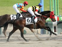 ����å��ǳ��������ɽ�����ޤ�