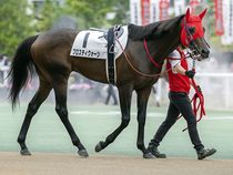 ����å��ǳ��������ɽ�����ޤ�