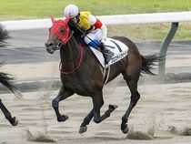 ����å��ǳ��������ɽ�����ޤ�