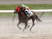 ����å��ǳ��������ɽ�����ޤ�