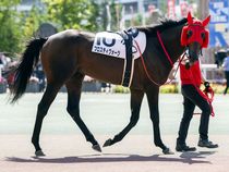 ����å��ǳ��������ɽ�����ޤ�