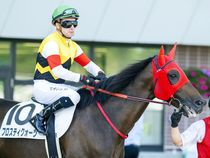 ����å��ǳ��������ɽ�����ޤ�