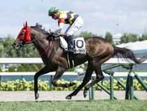 ����å��ǳ��������ɽ�����ޤ�