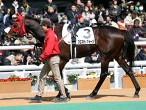 ����å��ǳ��������ɽ�����ޤ�