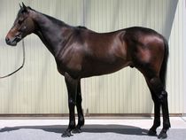 ����å��ǳ��������ɽ�����ޤ�