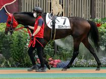 ����å��ǳ��������ɽ�����ޤ�