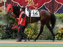 ����å��ǳ��������ɽ�����ޤ�