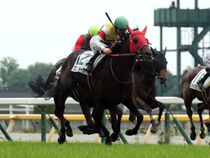 ����å��ǳ��������ɽ�����ޤ�