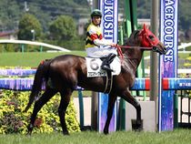 ����å��ǳ��������ɽ�����ޤ�