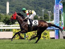 ����å��ǳ��������ɽ�����ޤ�