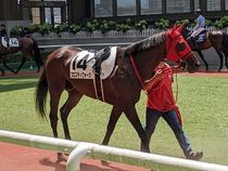 ����å��ǳ��������ɽ�����ޤ�