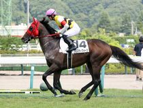 ����å��ǳ��������ɽ�����ޤ�