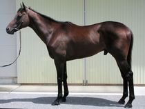 ����å��ǳ��������ɽ�����ޤ�