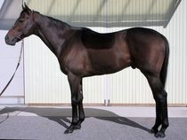 ����å��ǳ��������ɽ�����ޤ�