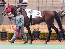 ����å��ǳ��������ɽ�����ޤ�