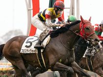 ����å��ǳ��������ɽ�����ޤ�