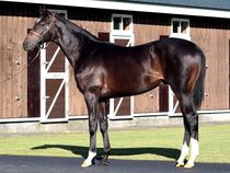 ����å��ǳ��������ɽ�����ޤ�