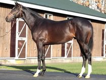 ����å��ǳ��������ɽ�����ޤ�