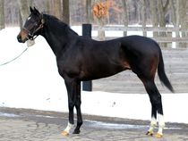 ����å��ǳ��������ɽ�����ޤ�