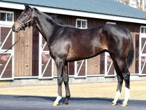 ����å��ǳ��������ɽ�����ޤ�