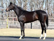 ����å��ǳ��������ɽ�����ޤ�