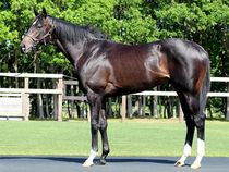 ����å��ǳ��������ɽ�����ޤ�