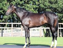 ����å��ǳ��������ɽ�����ޤ�