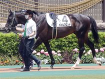 ����å��ǳ��������ɽ�����ޤ�