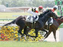 ����å��ǳ��������ɽ�����ޤ�