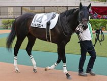 ����å��ǳ��������ɽ�����ޤ�