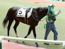 ����å��ǳ��������ɽ�����ޤ�