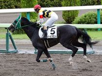 ����å��ǳ��������ɽ�����ޤ�