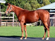 ����å��ǳ��������ɽ�����ޤ�