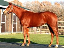 ����å��ǳ��������ɽ�����ޤ�