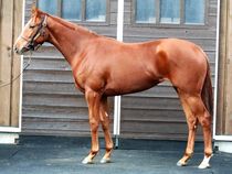 ����å��ǳ��������ɽ�����ޤ�