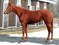 ����å��ǳ��������ɽ�����ޤ�