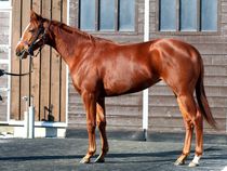 ����å��ǳ��������ɽ�����ޤ�