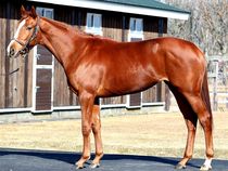 ����å��ǳ��������ɽ�����ޤ�