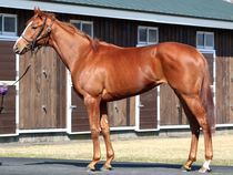 ����å��ǳ��������ɽ�����ޤ�