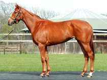 ����å��ǳ��������ɽ�����ޤ�