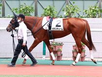 ����å��ǳ��������ɽ�����ޤ�