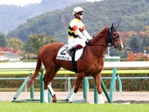 ����å��ǳ��������ɽ�����ޤ�