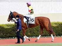 ����å��ǳ��������ɽ�����ޤ�