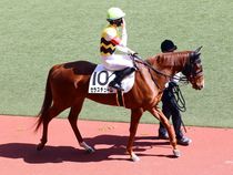 ����å��ǳ��������ɽ�����ޤ�